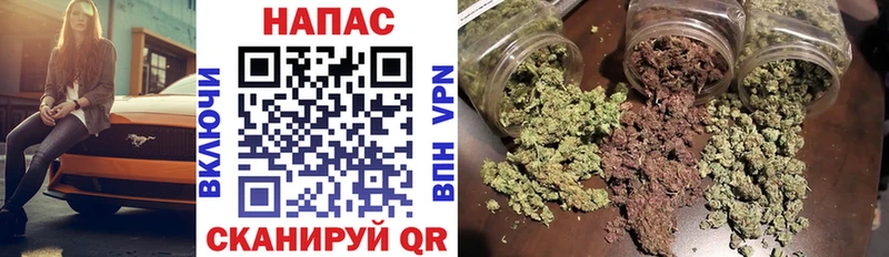 Бошки Шишки ГИДРОПОН Энем